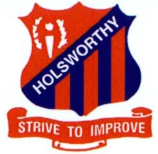 Holsworthy Public School